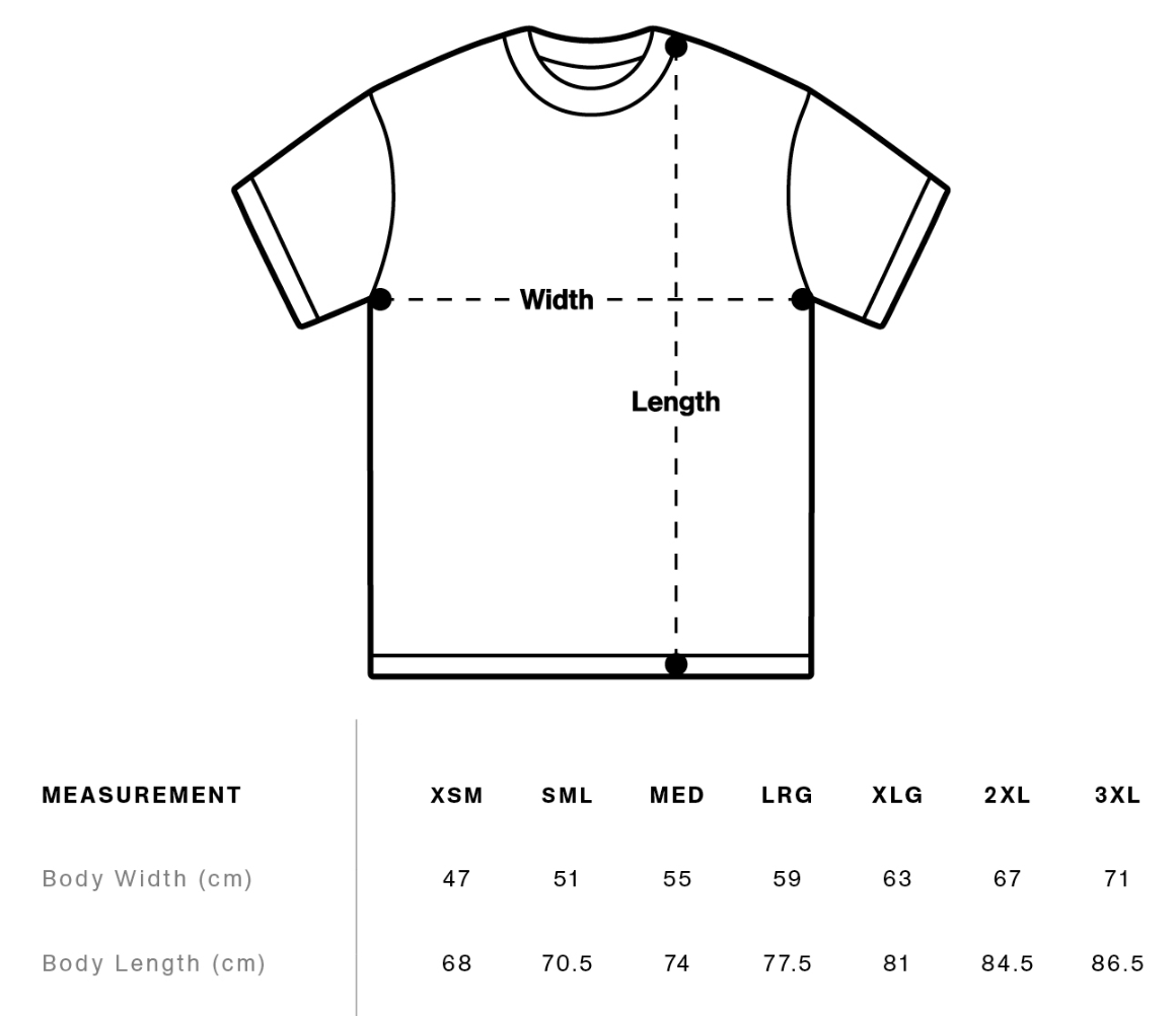 Cassiel Clo Carpe Diem Faded Grey Tee