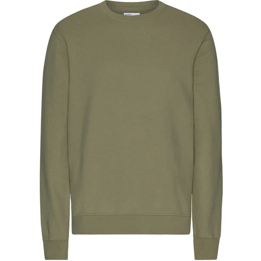 Colorful Standard Classic Organic Crew Dusty Olive Sweatshirt