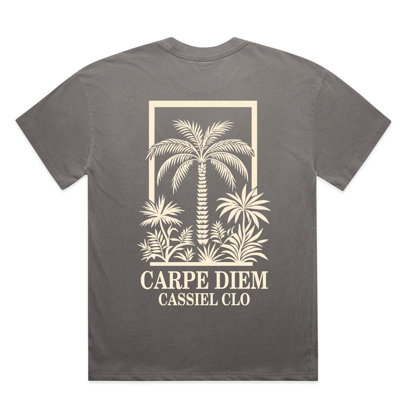 Cassiel Clo Carpe Diem Faded Grey Tee