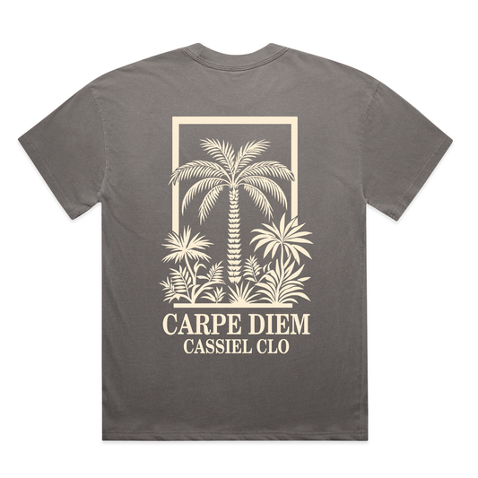 Cassiel Clo Carpe Diem Faded Grey Tee