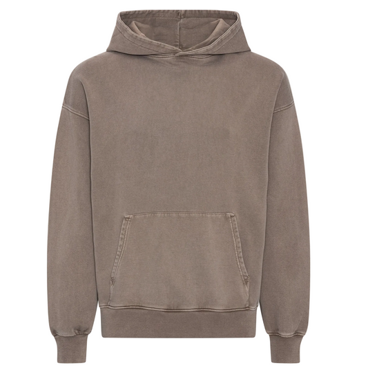 Colorful Standard Oversized Organic Faded Green Hoodie Sweatshirt